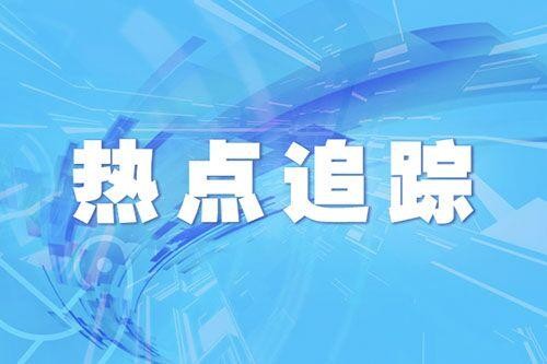 男子养上百只宠物蟑螂，繁殖太快想送人…专家急了