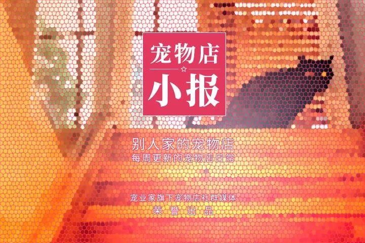 女歌手用小米作猫砂引网友指责；宜兴市开出首张宠物罚单｜小报