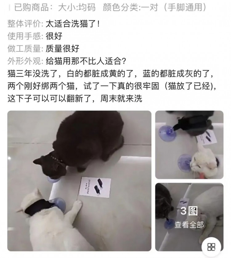 离谱！情趣用品下面的买家秀竟然全是猫猫