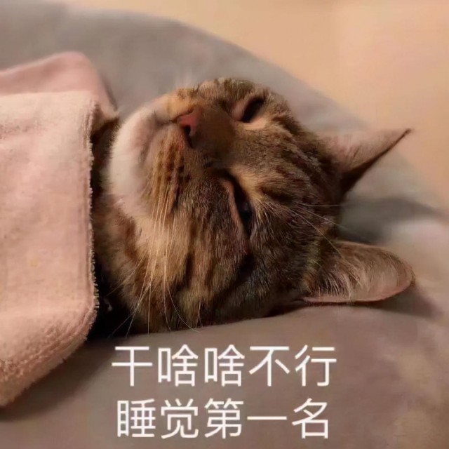 非常准确！猫的“睡姿”代表着它们不同的性格